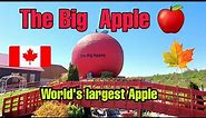 The Big Apple 🍎#Colborne, Ontario