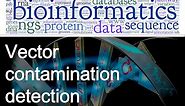 Bioinformatics lecture 15 how to screen vector contamination using vecscreen