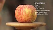 Apple Varieties For Cider Fermentation | Spoiled To Perfection