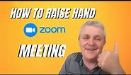 How To Raise Hand in zoom Quick & Easy Tips 2024
