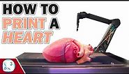 How to 3D Print Organs (Bioprinting Explained)