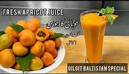 Fresh apricot juice recipe || apricot juice recipe || healthy apricot juice recipe