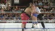 WWF Summerslam Spectacular 1993