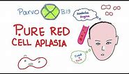 Pure Red Cell Aplasia (PRCA) - Hematology
