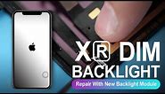 iPhone Xr Dim Backlight - Repair With New Backlight Module