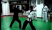 Korean Martial Arts Fighting Techniques