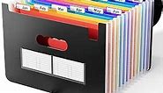 ABC life Accordian File Organizer,12 Pockets Expanding File Folder,Portable Expandable Filing Box,Desktop Accordion Folders,Plastic Colored Paper Document Paperwork Receipt Organizer(A4/Letter Size)