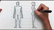 Como dibujar la figura humana paso a paso: El cuerpo del hombre y sus proporciones.