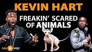 Funny | Hilarious | Kevin Hart Freaking Scared of Animals #KevinHart #Scared #Animals
