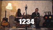 1234 (Feist) | Acoustic Cover | The Distance