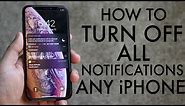 How To Turn Off ALL Notifications On ANY iPhone! (2020)