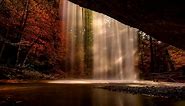 Cascade, Forest, Cave. Free Stock Video