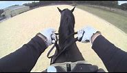 Virtual View: How To Hold & Use Double Bridle Reins