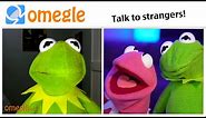 Kermit The Frog Meets Kermit the Frog on Omegle!