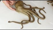 DIY CLAY OCTOPUS EASY - How to make a cool clay octopus