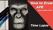 Drawing Ape(Caesar) - Timelaps