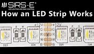 How an RGBW LED Strip Works by SIRS-E