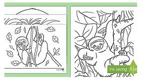 Sloth Colouring Pages