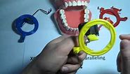 How to use a Posterior (yellow) XCP dental film / PSP holder for Dental Xrays
