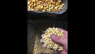 Save Money Cracking corn with paper shredder. $5 corn cracking machine and much more