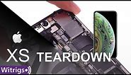 iPhone XS Teardown #Disassembly