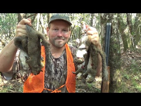 SQUIRREL HUNTING in Mid September!!! Alabama Public Land