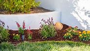 Create a Garden Planting Bed in Your Lawn