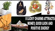 8 Lucky Charms attracts Money,Good luck and positive energy | Quick Remedies | GOOD LUCK ITEMS