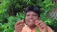 picking and eating ooty apple in my village | Healthy food | The Best Food Maker #apples #ootyapple #fruit #fall #food #applepicking #applewatch #autumn #fruits #appleiphone #foodporn #appletree #dessert #foodie #delicious #yummy #homemade #cider #applecider #nature #foodphotography #healthyfood #baking #appleseason #applestore #orchard #instafood #love #villagefruits #newreel #thebestfoodmaker | The Best Food Maker