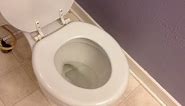 How to Quickly Get Water Out of Your Toilet Bowl