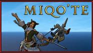 Everything about Miqo'te - FFXIV Races