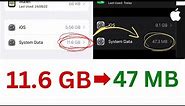 iPhone System Data Taking Too Much Space? | How to Clear System Data Storage?