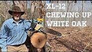 Vintage 1970s Homelite XL-12 Chainsaw Review