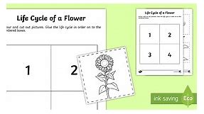 Life Cycle of a Flower Cut and Paste Activity