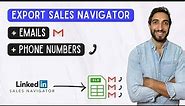 How To Export Leads From Sales Navigator With Emails and Phones