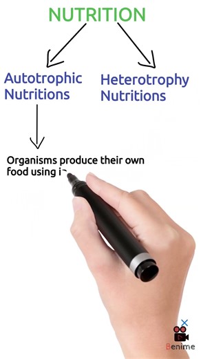 Autotrophy nutrition#cbse#study #science#biology#shortnotes #motivation#learning#neet #science tips