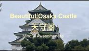 Beautiful Osaka Castle-天守阁