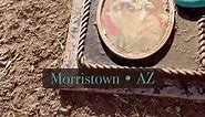 || Grumpy Cat’s Grave • Morristown, AZ || #grumpycat #famousgraves #arizona #phoenix #morristownarizona #cornyonthemacabre #cornyonthemacabretravel #meme #atlasobscura @Atlas Obscura #taphophile #cemetery #cemeterytok #petsematary #petcemetery
