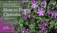 How to Prune Clematis Vines