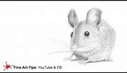 HOW TO DRAW A MOUSE - Easy and realistic - Narrated