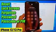iPhone 13/13 Pro: How to Reset Lock Screen Forgotten Password/Passcode/PIN