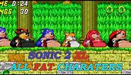 Sonic 2 XL Fat Tails, Shadow, Knuckles, Mighty, Sonic