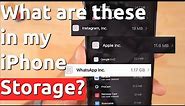 WhatsApp Inc, Google LLC, Instagram Inc and Apple LLC 🔥 What are these in my iPhone Storage?