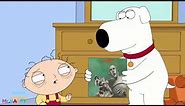 Stewie is afraid of Queen album cover - Family Guy - Funny