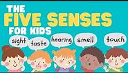 Five Senses for Kids | Learn all about the 5 Senses for kids | Sight, Sound, Smell, Taste, and Touch