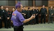SPECIAL!! Ninja Grandmaster Masaaki Hatsumi Sensei - Budo Taijutsu at Hombu Dojo 3