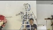 “Turning on” my FNAF/Chuck E. Cheese endoskeleton animatronic