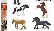 Safari Ltd. Ponies TOOB - 8 Figurines: Dartmoor, Highland, Fell, Welsh, Quarter, Shetland, Chinoteague, Exmoor Pony - Educational Toy Figures For Boys, Girls & Kids Ages 3+
