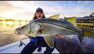 The Secret To Catching Giant Florida Snook..