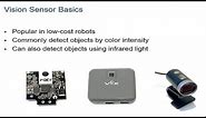 Using Vision Sensors for Robot Autonomy
